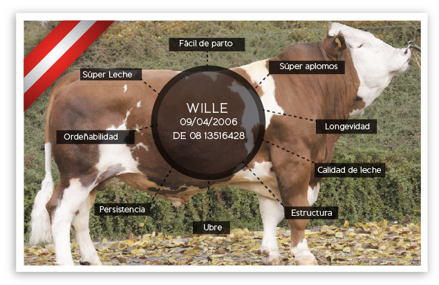 WILLE